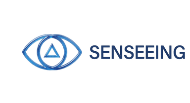 Senseeing
